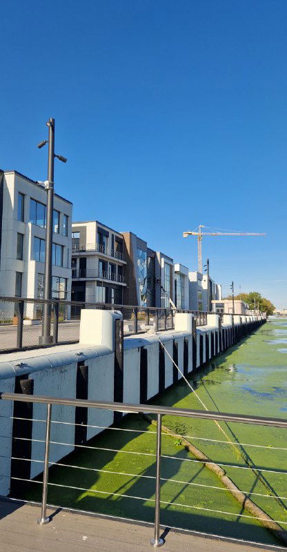 Вид на набережную и воду с крупными зелёными пятнами растительности или пленки на поверхности — береговая линия рядом со строящимися объектами.