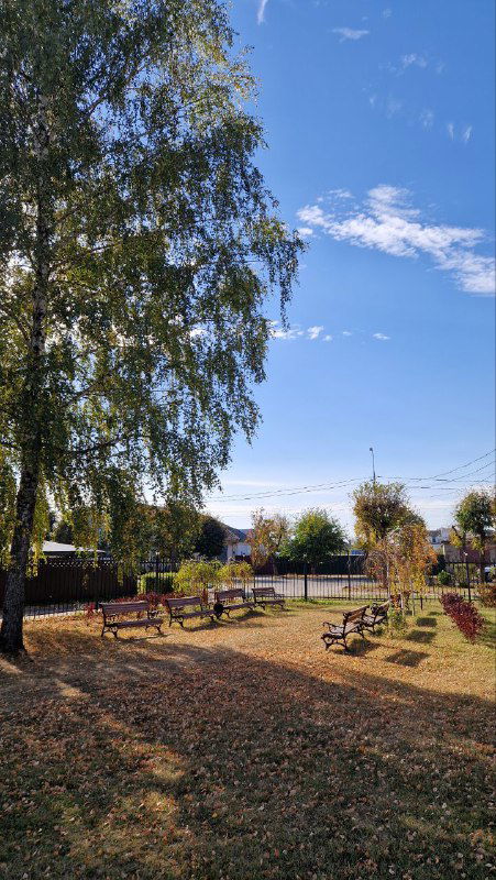 Парк с лавочками и опавшей листвой — тихая прогулочная зона в Серпухове, приглашающая неспешные осенние прогулки под голубым небом.