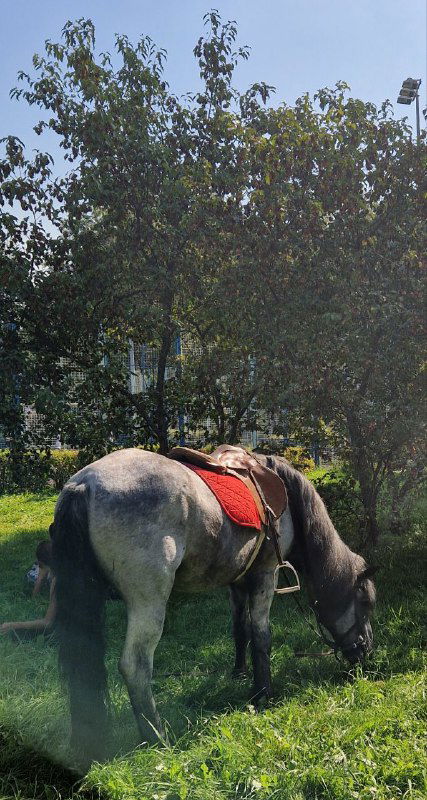 Удивительные факты о районе Коньково