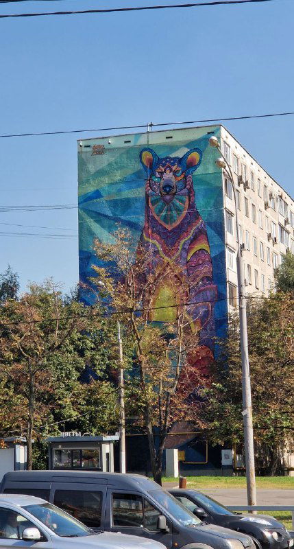 Большой яркий мурал с изображением медведя на стене жилого дома в Коньково — пример городского стрит-арта и местного оформления фасадов.