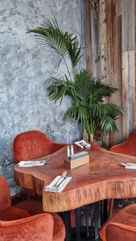 Уютный уголок с массивным деревянным столом-спилом, мягкими креслами и высокой пальмой у стены — сочетание природных материалов и зелёного декора.