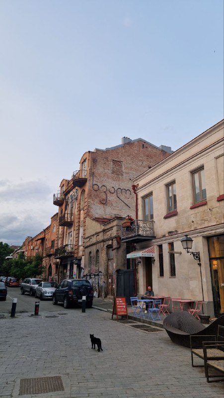 Кафе и жилые дома вдоль старой улицы Тбилиси, брусчатка, вывески и кот на тротуаре — спокойный дневной кадр городского района.