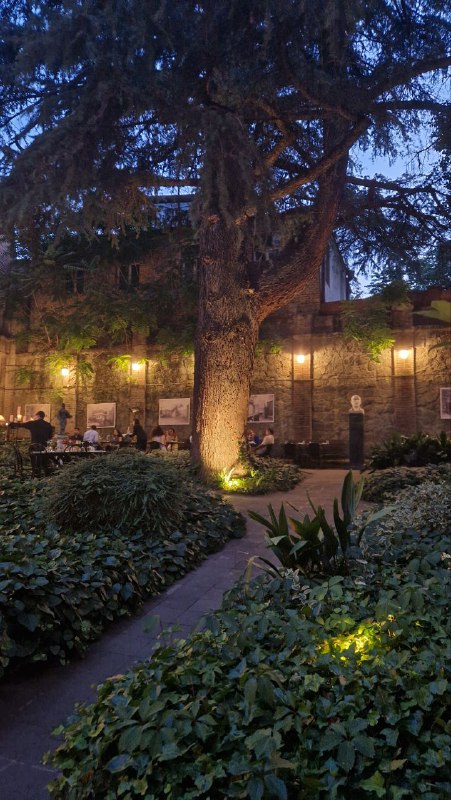 Ночной сад с подсветкой вокруг большого дерева: столики среди зелени, тихая атмосферная обеденная зона на открытом воздухе.