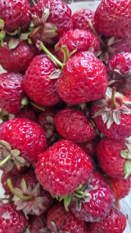 Крупный план яркой сладкой клубники, которую в Тбилиси называют «клубика-малина»: текстура, блеск и насыщенный цвет ягод на развале рынка.