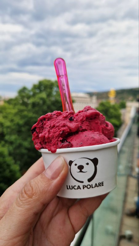 Стаканчик мороженого Luca Polare с ягодным шаром на фоне размытых деревьев и городского неба — крупный план сетового десерта.