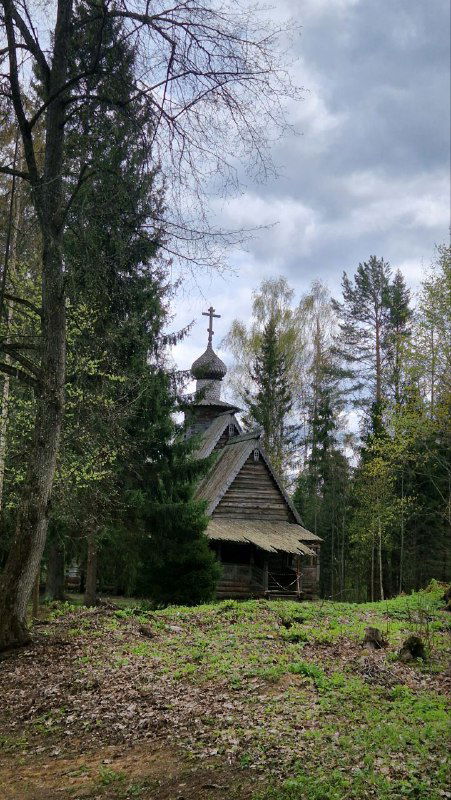 Деревянная церковь с куполом в лесной просеке, окружённая хвойными и лиственными деревьями, пасмурное небо над крышей.