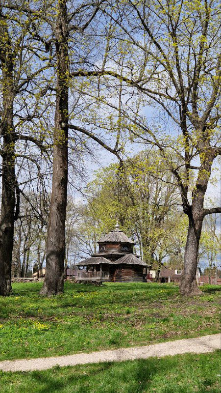 Деревянное строение в парковой зоне музея Василёво на фоне молодых лиственных деревьев и прогулочной тропинки, видно силуэт здания.