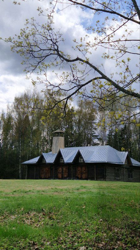 Низкие деревянные служебные постройки усадьбы с металлической крышей на зелёной лужайке, часть архитектурно-паркового ансамбля Василёво.