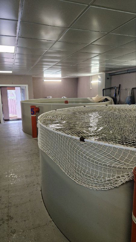 Форелевая ферма в Василёво