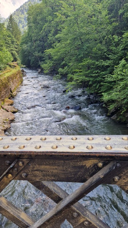 Горная река в зелёном ущелье Боржоми: вид с пешеходного моста на быстрый поток воды и крутые поросшие лесом берега.