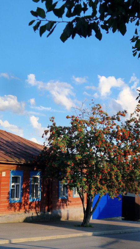 Елец — Часть вторая