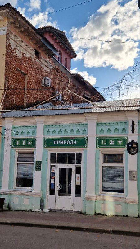 Историческое здание с зелёными декоративными элементами и вывеской; архитектурный фрагмент центральной улицы Ельца в ясную погоду.
