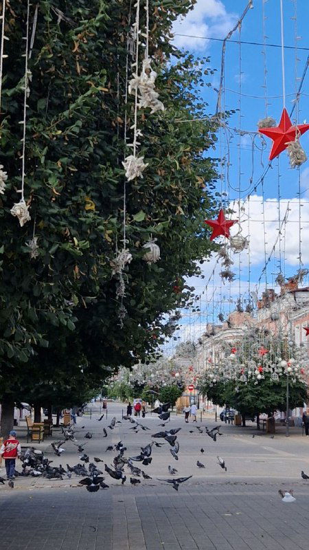 Городская пешеходная улица с деревьями, птицами на тротуаре и праздничной иллюминацией; кадр передавший атмосферу прогулочной зоны Ельца.