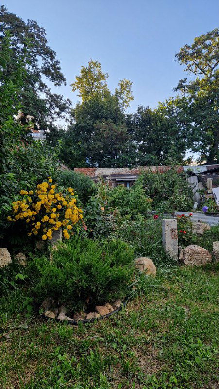 Небольшой сад с цветами и кустарниками в частном дворе; атмосферный кадр зелёной зоны за городской застройкой Ельца.