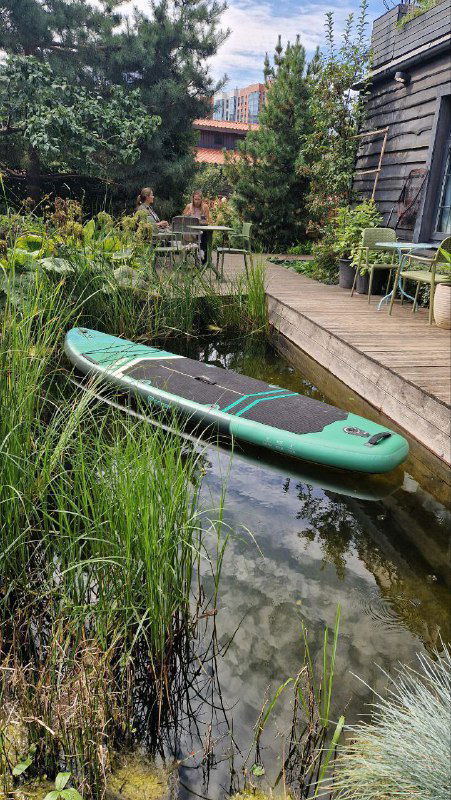 Садовый пруд на территории RastuS: зелёная сап-доска на воде, камыши и плотная растительность по берегам, атмосфера уединённого уголка.