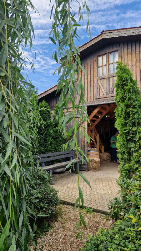 Внешняя зона кафе: ива свисает над дорожкой, деревянное крыльцо и тёплый фасад здания RastuS, создающие атмосферу загородного дома в саду.