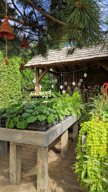 Садовая лавка и стол для рассады: ящики с растениями, горшки и садовый инвентарь в стиле фермерской оранжереи на территории кафе RastuS.