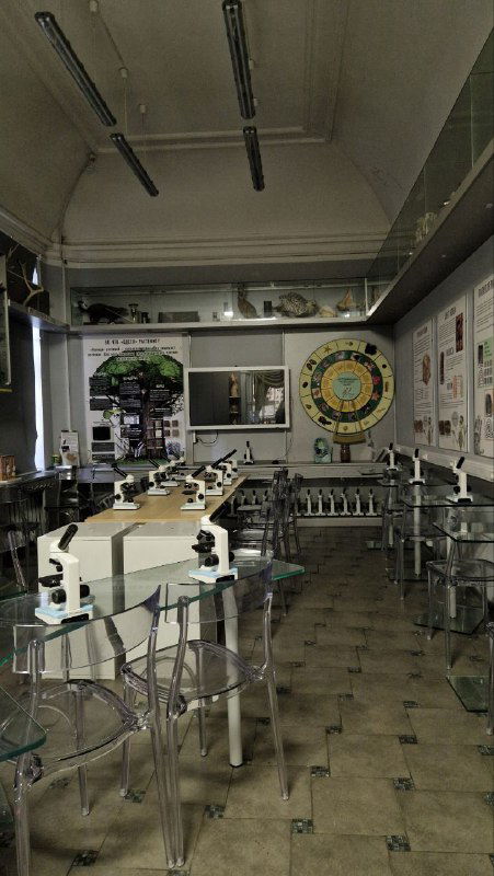 Биологический музей им. К.А. Тимирязева: мои впечатления