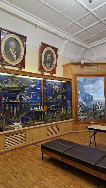 Большой выставочный шкаф с диорамами и портретами учёных над ним: классический музейный интерьер с деревянной отделкой.