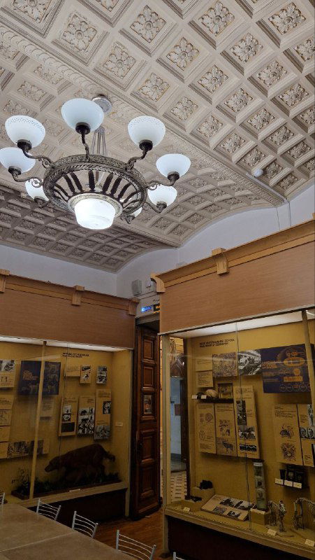Декор потолка и люстра в зале музея: вид на декоративную лепнину и высокие плафоны в историческом интерьере.