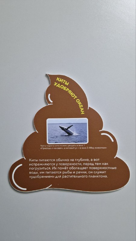 Информационный стенд в виде символического изображения экскрементов с фото и текстом — часть раздела про отходы жизнедеятельности.