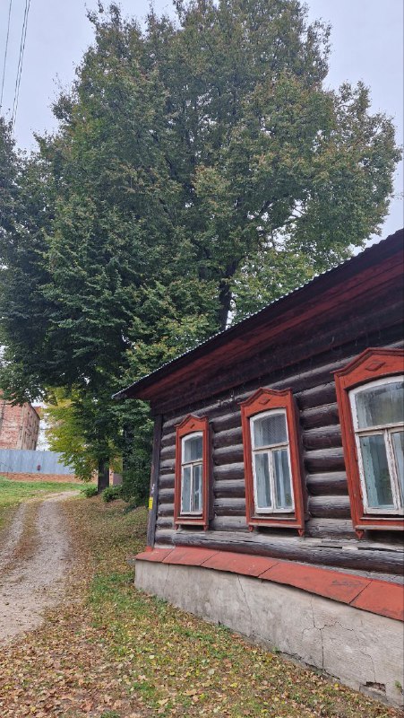 Улица с одноэтажными деревянными домами в Серпухове и высоким деревом рядом, спокойный вид исторической жилой застройки и узкая грунтовая дорожка.