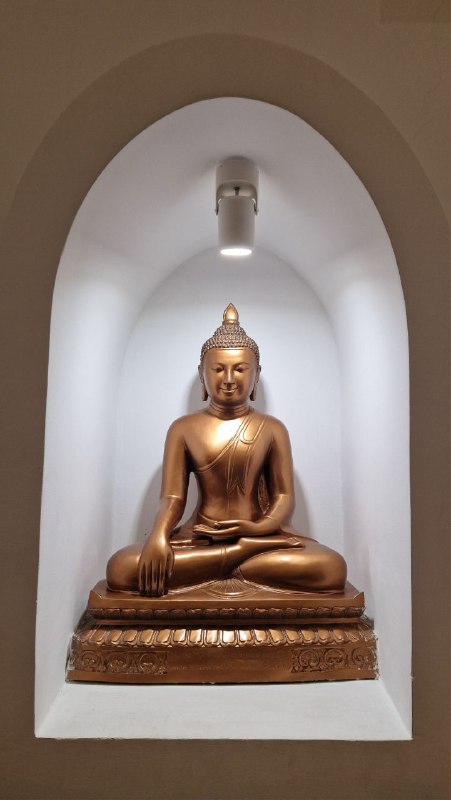 Золотая статуя Будды в нише одного из павильонов Этномира: классическая поза и спокойная экспозиция на белом фоне, музейная подсветка.