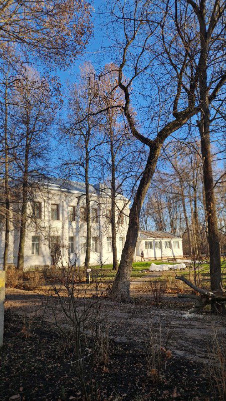 Белое административное здание и участок парка с голыми деревьями — вид осенним днём, дорожки и газоны на маршруте прогулки.