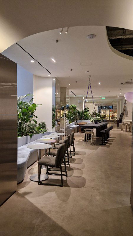 Общий вид на кафе и рабочие зоны: длинные столы, стулья и зелёные растения вдоль вестибюля, показывающие масштаб и многозадачность пространства.