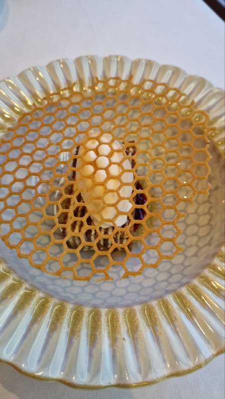 Элегантная тарелка с декоративной ажурной сеткой и небольшим десертом или элементом подачи — художественная и минималистичная сервировка.