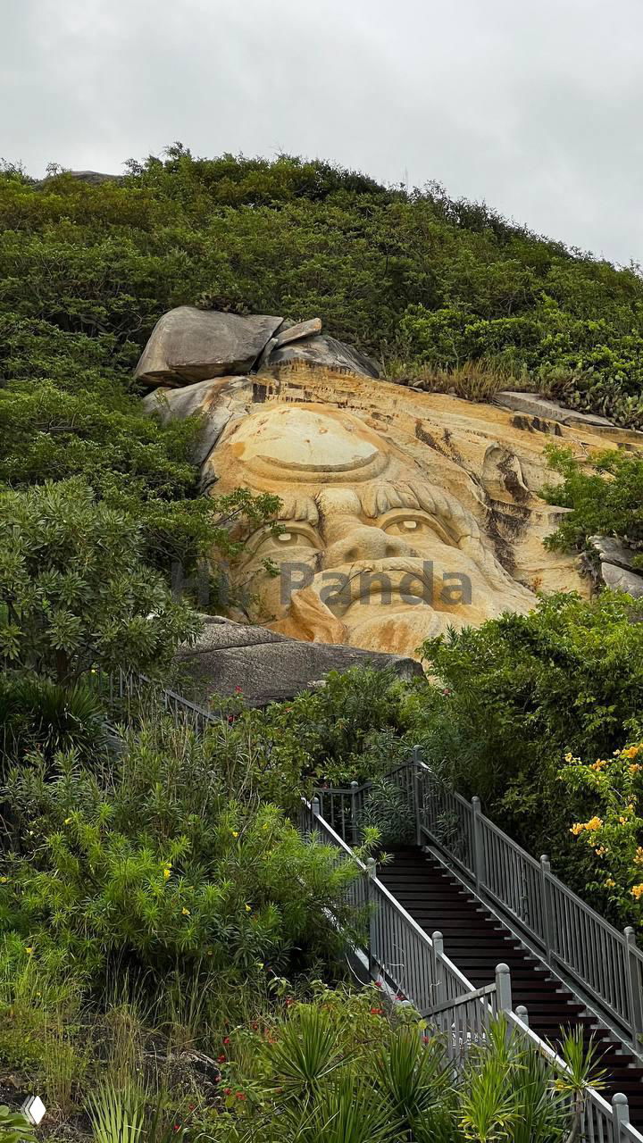 Большой резной лики и барельеф на скале, изображение даосского божества или лица в камне, окружённое зеленью и тропической растительностью.