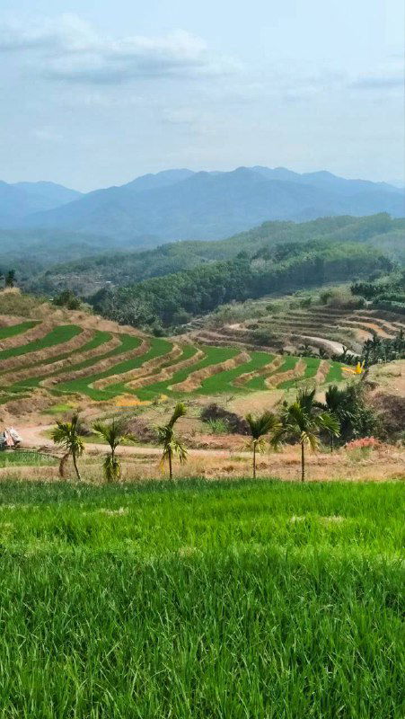 Итоги 2‑недельной поездки на Хайнань