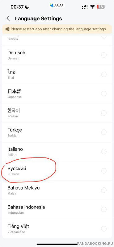 Китайские Яндекс.Карты в русском интерфейсе