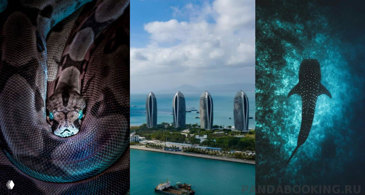 Индивидуальный обзор города на машине — экскурсия по Хайнаню