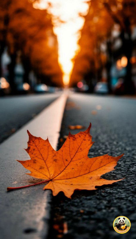 Вертикальные обои: крупный план осеннего листа на асфальте с фокусом на текстуру и мягким размытием улицы, тёплые коричневые и оранжевые оттенки, минималистичная композиция.