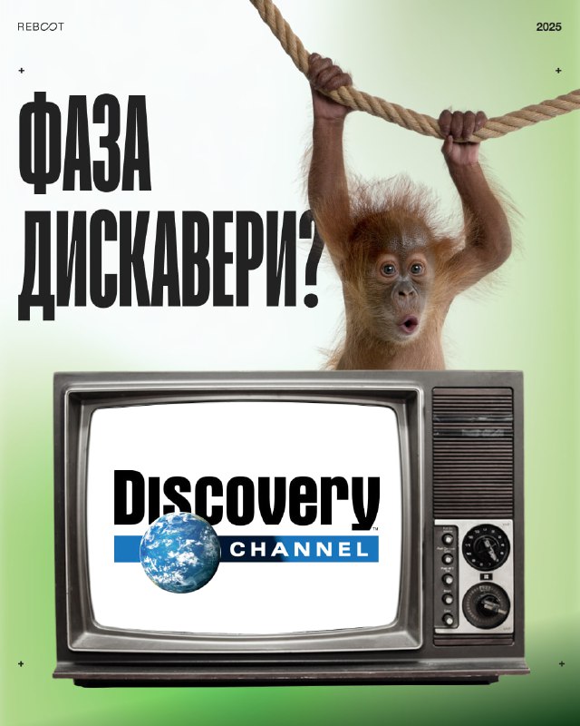 Фаза Discovery: без чего проект может прогореть