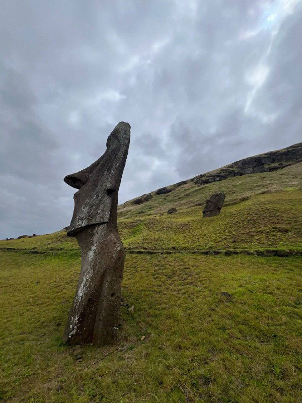 Одинокая статуя моаи на склоне холма, снятая в полный рост на фоне серого неба; видна форма головы и длинная шея монумента.