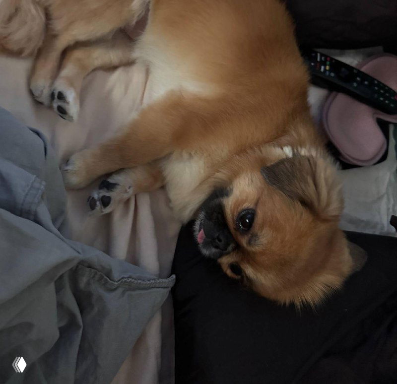 Спим на шелковых наволочках — зачем и стоит ли?