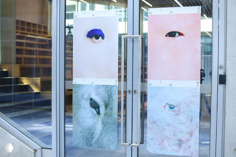 Фотография снаружи: две колонки постеров Design Inter‑Vision у входа, крупные глаза животных и людей на минималистичных фонах.