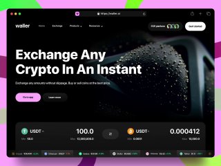 Веб-интерфейс обменника криптовалют в тёмной теме: заголовок 'Exchange Any Crypto In An Instant', панели балансов, кнопки действий и декоративные фоны.