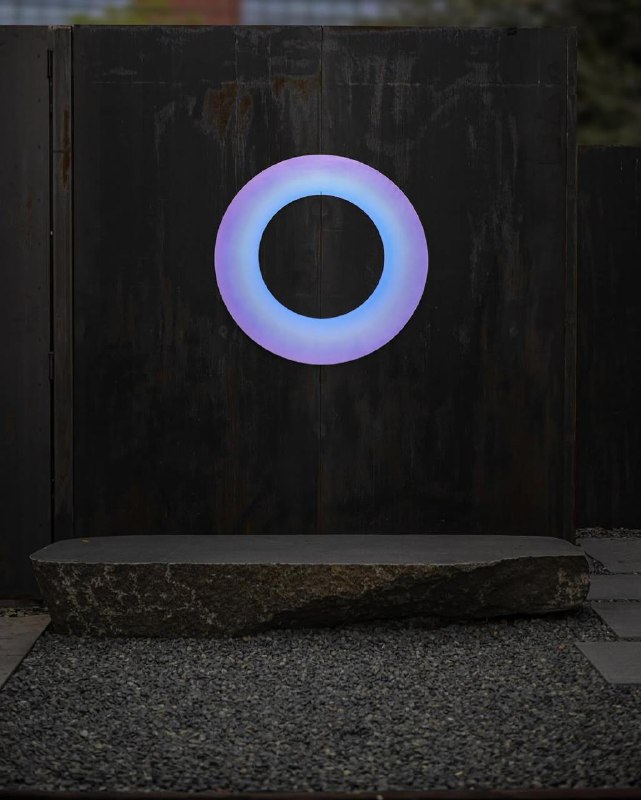 Круглый светящийся орнамент в тёмной стене — кольцевой световой элемент инсталляции Лахлана Турчана, контрастный ночной образ.