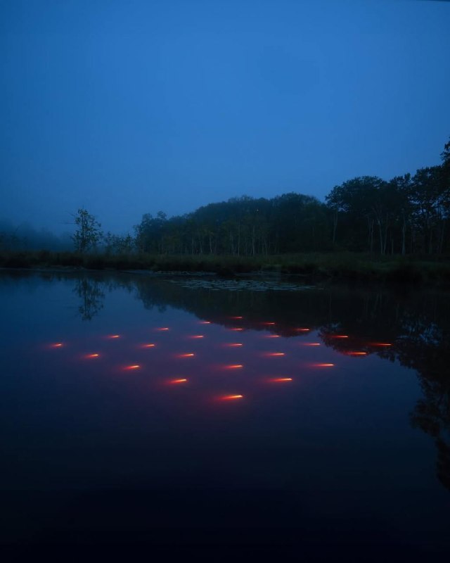 Тёмный водоём с рядом мелких красных точек света под поверхностью — вибрационно-световой эффект в работах Лахлана Турчана.