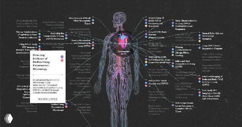 Интерактивная карта исследований PolyBio