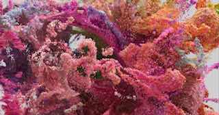 Крупный план цветочных и коралловых форм генеративной инсталляции: пушистые структуры и плотные композиции частиц в насыщенных цветах.