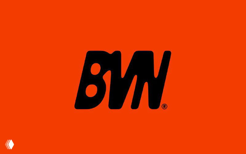 Харизматичная айдентика музыкального дуэта BVN