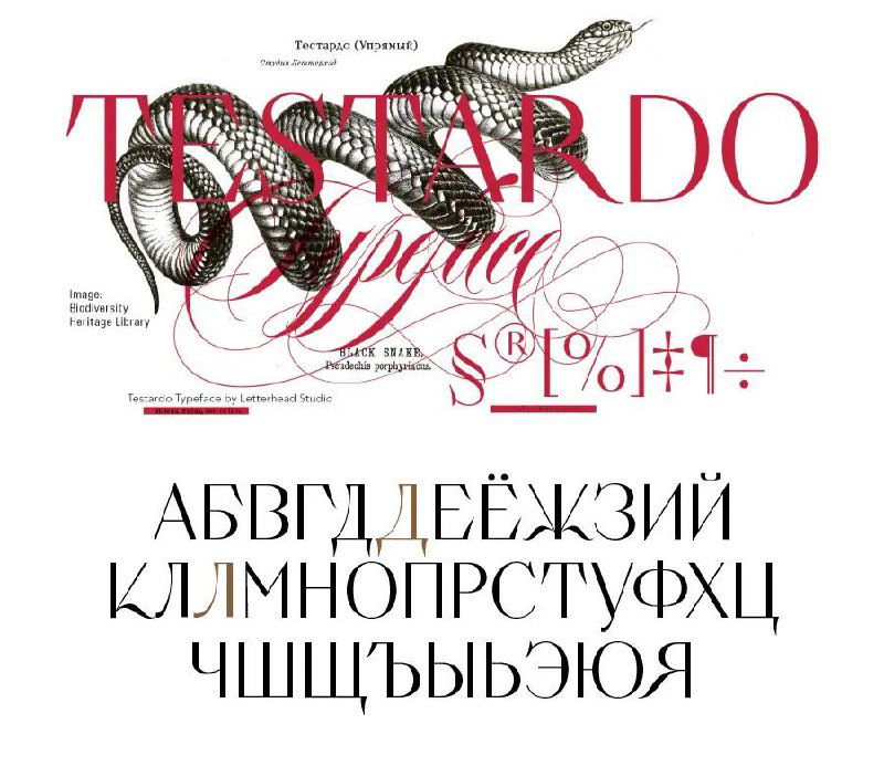 Testardo — акцидентная антиква