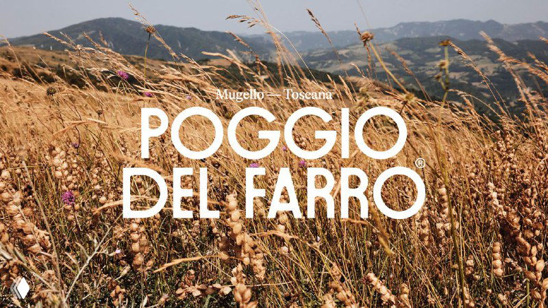 Poggio del Farro — редизайн упаковки