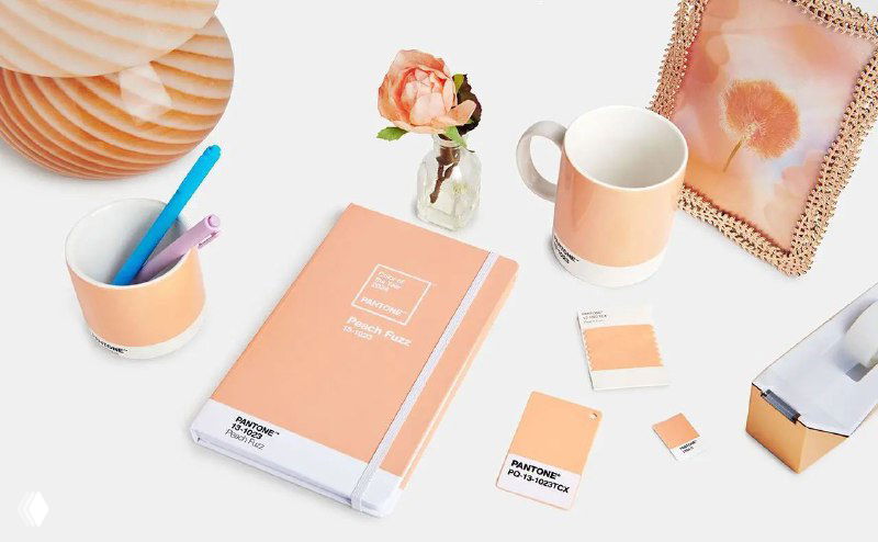 Pantone: цвет 2024 года — Peach Fuzz