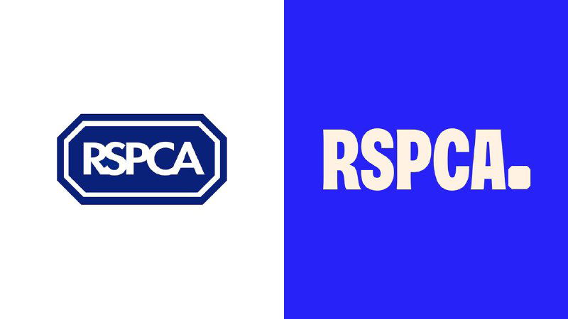 Ребрендинг RSPCA: яркий стиль и иконки