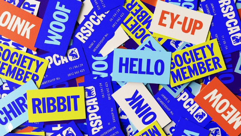 Набор карточек и стикеров с надписями и короткими словами (WOOF, RIBBIT и т.д.) в фирменных цветах и игривой типографике кампании.